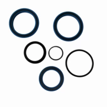 Kit Reparo Cil Hidr 20066457/20067541 Bitola Parr b0268965