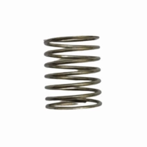 MOLA DA VALVULA ZETA 120/140/170 (600677)         