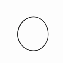 Anel O Ring Ref. Par 2039 S Novo KUHN MONTANA B0765561