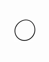 O-ring