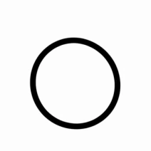 Anel O Ring Corpo F.linha 1 (765.046-322000.040)