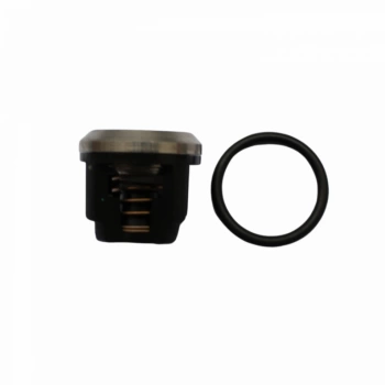 Kit Reparo Cj Valv Bomba Ar 403 KUHN MONTANA B0768893
