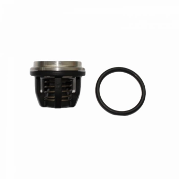 Kit Reparo Cj Valv Bomba Ar 903 KUHN MONTANA B0768896