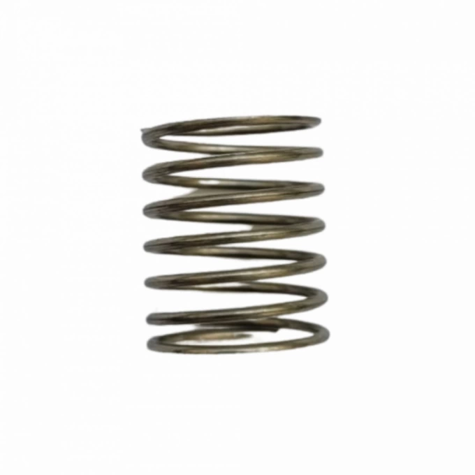 MOLA DA VALVULA ZETA 120/140/170 (600677)         