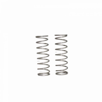 Mola Filtro (f.160 Lts) ARAG 314400.090